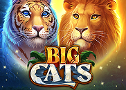Big Cats slot